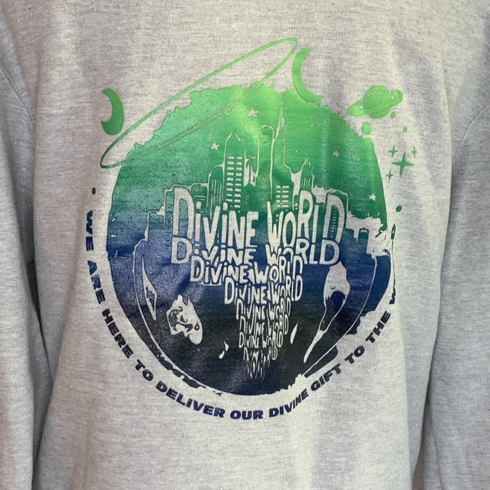 Divine World Graphic Cropped Hoodie Gray Fleece Pullover Sweatshirt Large Y2K